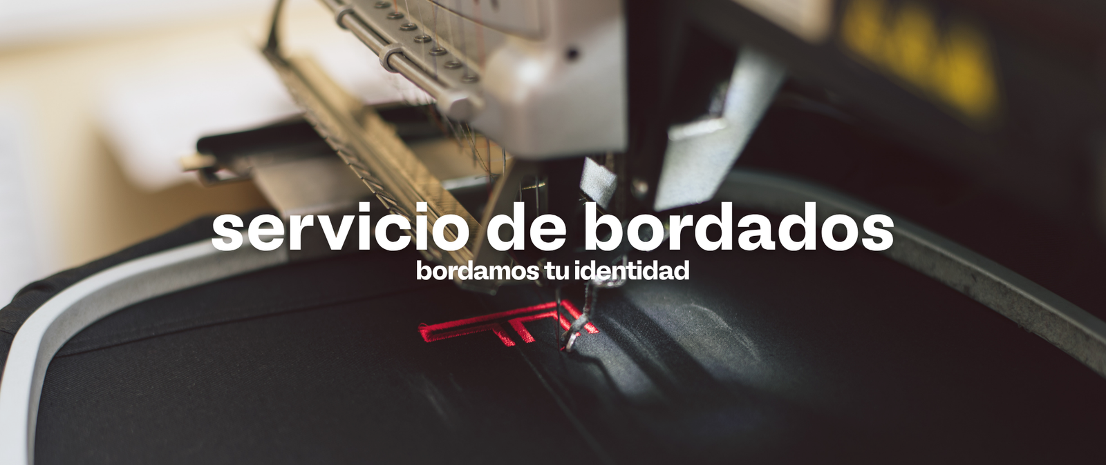 Carrusel Imagen 2